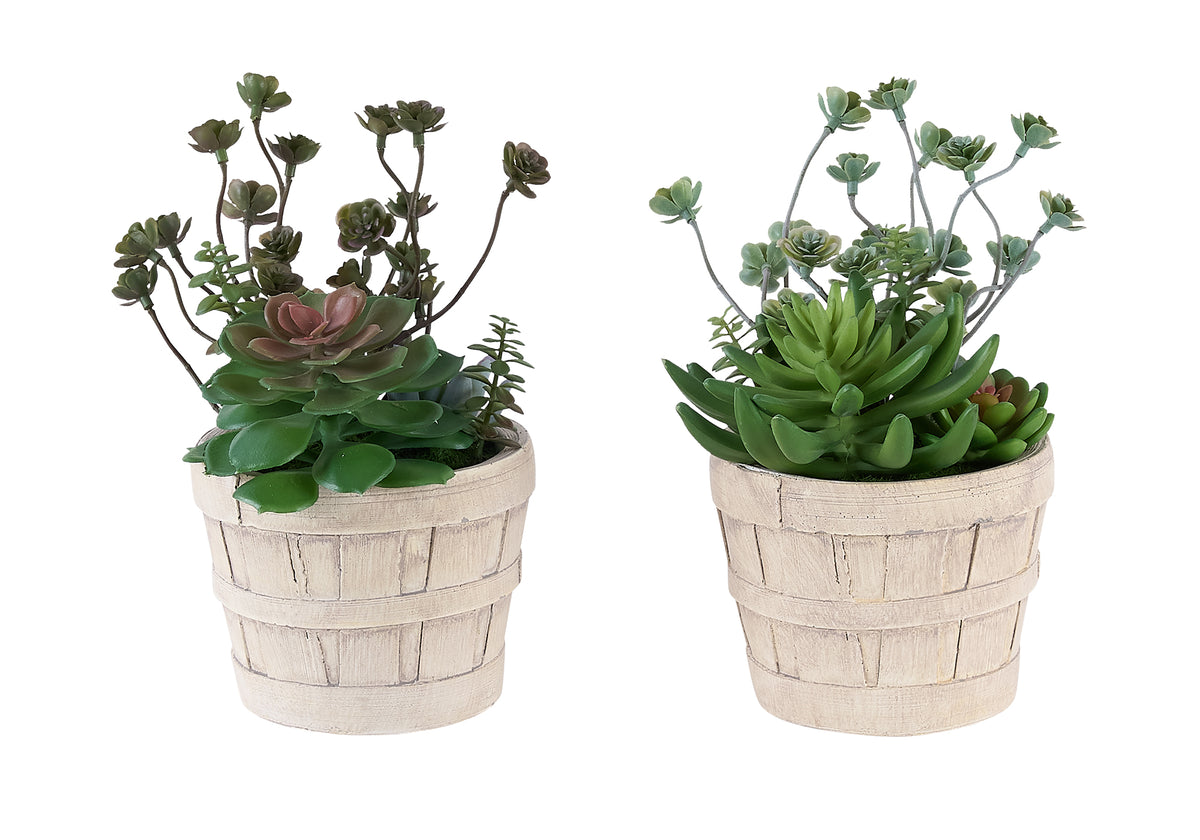 Plante artificielle MOI-9365