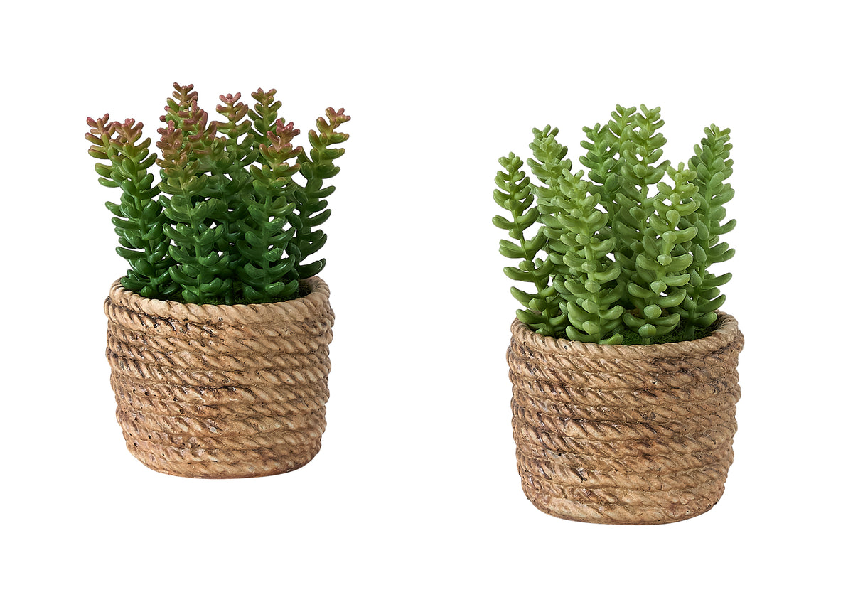 Plante artificielle MOI-9367