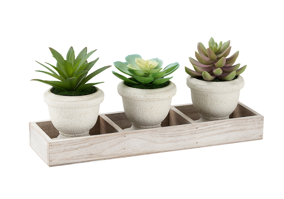 Plante artificielle MOI-9373