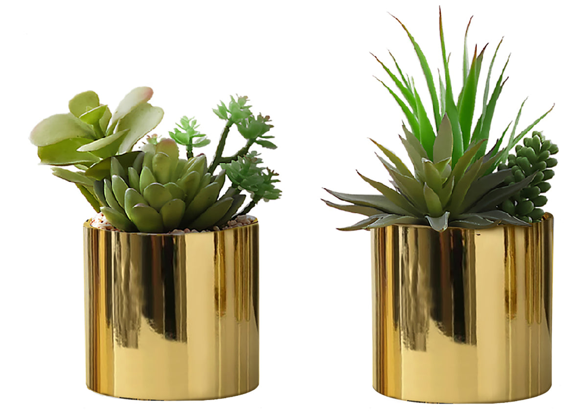 Plante artificielle MOI-9553