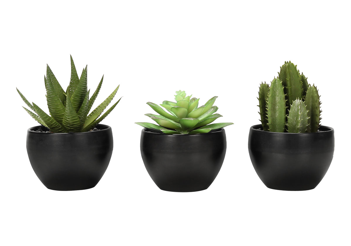 Plante artificielle MOI-9556