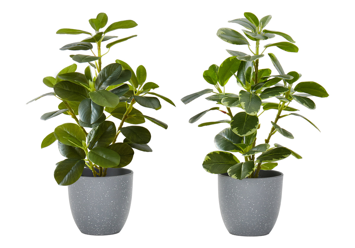 Plante artificielle MOI-9558