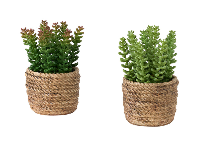 Plante artificielle MOI-9367