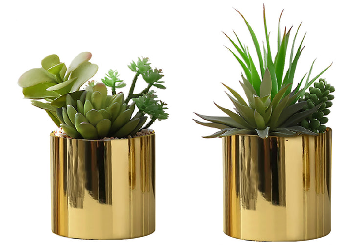 Plante artificielle MOI-9553