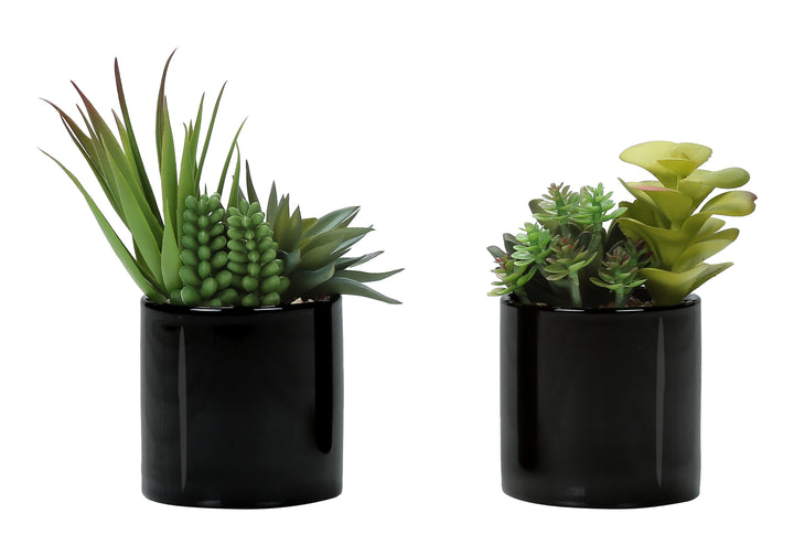 Plante artificielle MOI-9554