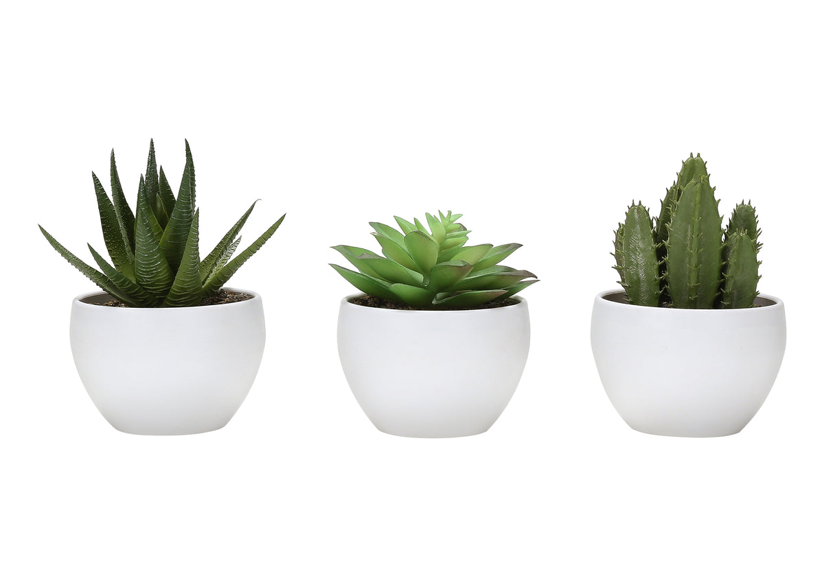 Plante artificielle MOI-9555