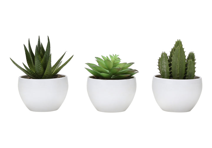 Plante artificielle MOI-9555