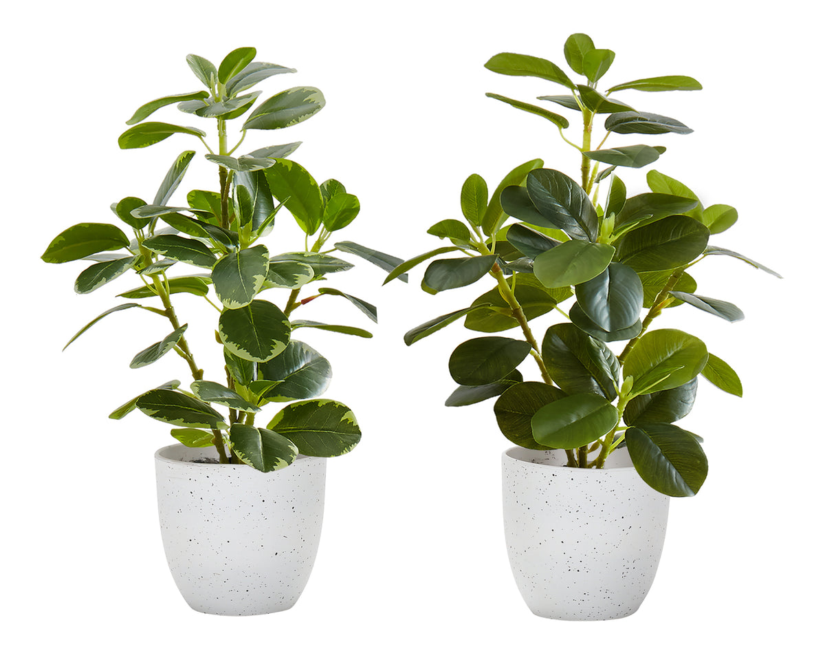 Plante artificielle MOI-9557