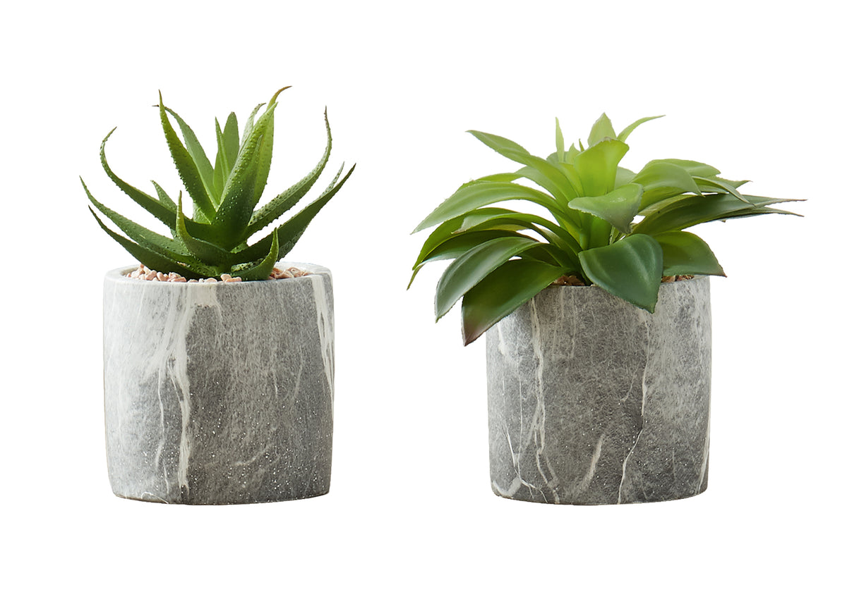 Plante artificielle MOI-9586