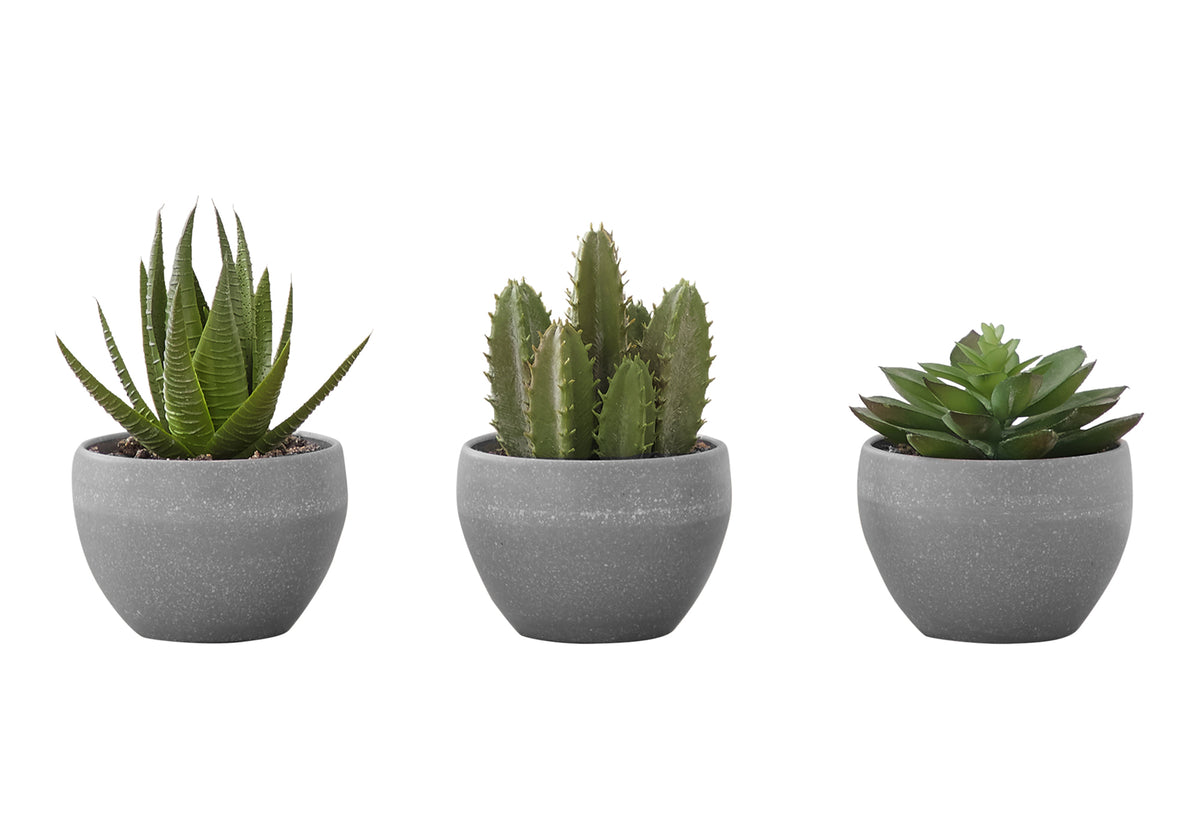 Plante artificielle MOI-9587